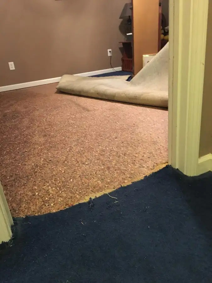 Carpet pad removal revealing water damage during Drying & Dehumidification in East Cocalico