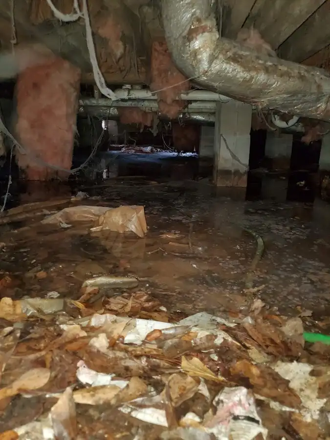 Crawl space flood assessment for Leak Detection & Repair in East Cocalico